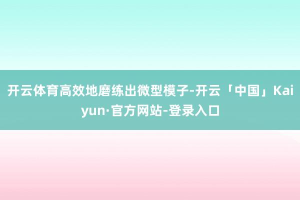 开云体育高效地磨练出微型模子-开云「中国」Kaiyun·官方网站-登录入口