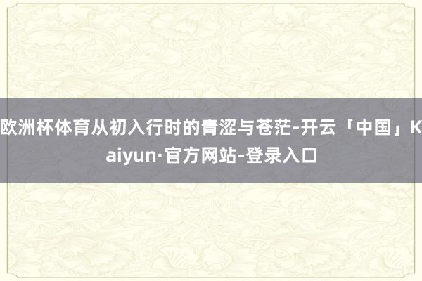 欧洲杯体育从初入行时的青涩与苍茫-开云「中国」Kaiyun·