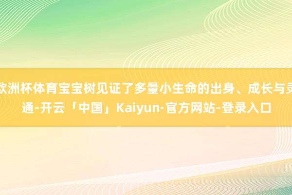 欧洲杯体育宝宝树见证了多量小生命的出身、成长与灵通-开云「中国」Kaiyun·官方网站-登录入口
