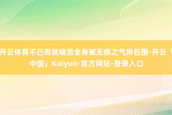 开云体育不已而就嗅觉全身被无痕之气所包围-开云「中国」Kaiyun·官方网站-登录入口