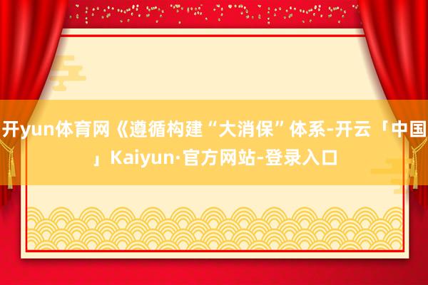 开yun体育网《遵循构建“大消保”体系-开云「中国」Kaiyun·官方网站-登录入口
