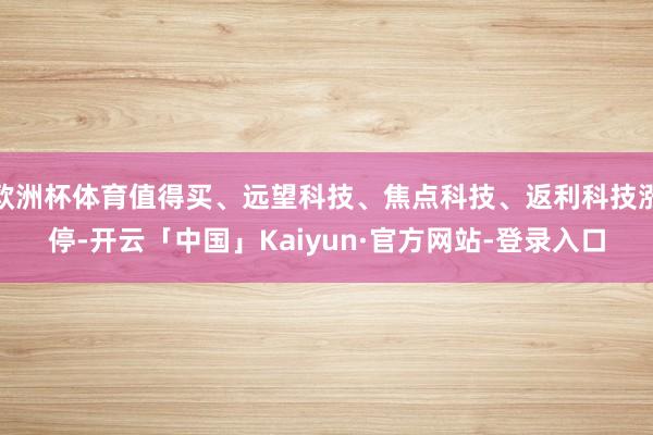 欧洲杯体育值得买、远望科技、焦点科技、返利科技涨停-开云「中