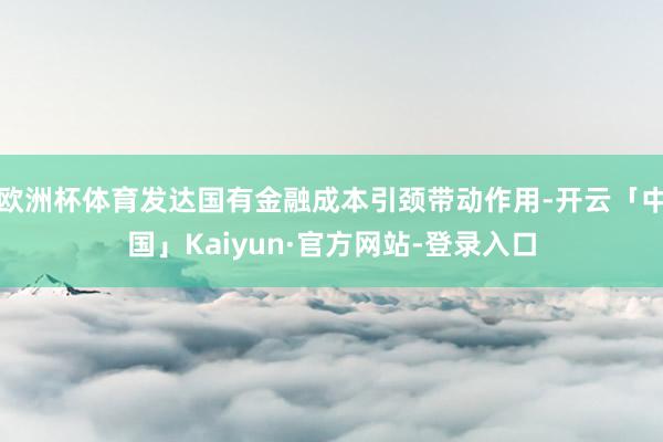 欧洲杯体育发达国有金融成本引颈带动作用-开云「中国」Kaiy
