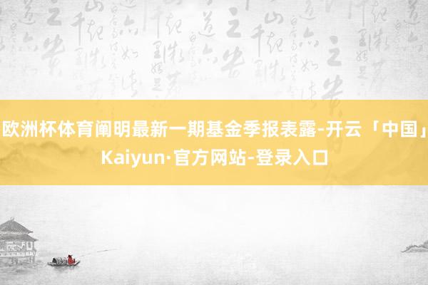 欧洲杯体育阐明最新一期基金季报表露-开云「中国」Kaiyun·官方网站-登录入口