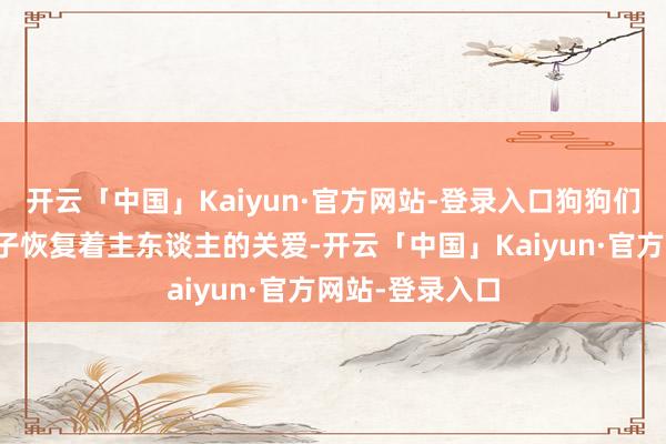 开云「中国」Kaiyun·官方网站-登录入口狗狗们则用湿润的鼻子恢复着主东谈主的关爱-开云「中国」Kaiyun·官方网站-登录入口