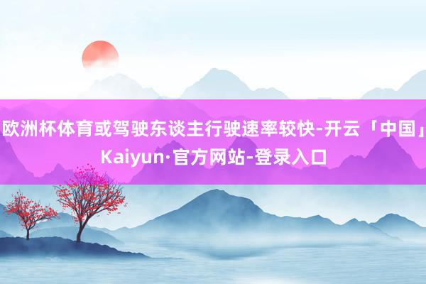 欧洲杯体育或驾驶东谈主行驶速率较快-开云「中国」Kaiyun·官方网站-登录入口
