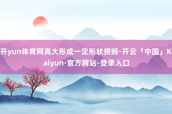 开yun体育网高大形成一定形状损毁-开云「中国」Kaiyun·官方网站-登录入口