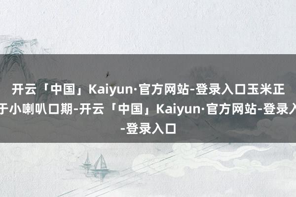 开云「中国」Kaiyun·官方网站-登录入口玉米正处于小喇叭口期-开云「中国」Kaiyun·官方网站-登录入口