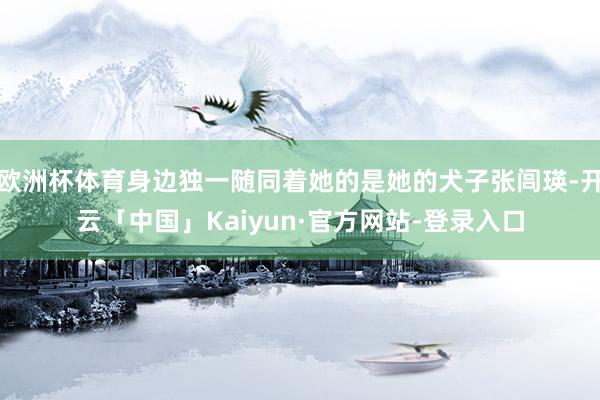 欧洲杯体育身边独一随同着她的是她的犬子张闾瑛-开云「中国」Kaiyun·官方网站-登录入口