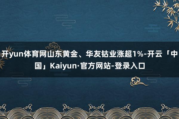 开yun体育网山东黄金、华友钴业涨超1%-开云「中国」Kaiyun·官方网站-登录入口