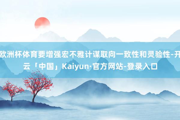 欧洲杯体育要增强宏不雅计谋取向一致性和灵验性-开云「中国」Kaiyun·官方网站-登录入口